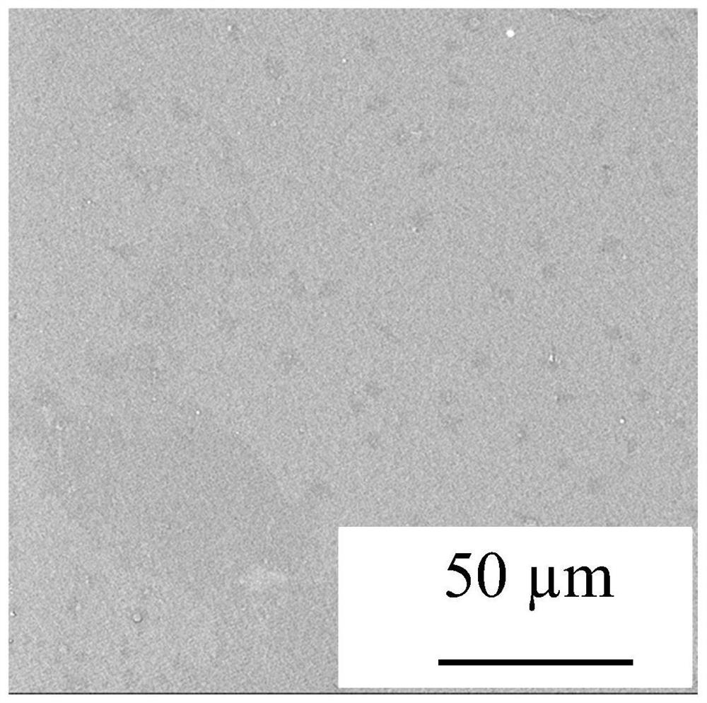 Preparation method and application of a medical magnesium-based metal anti-stress corrosion self-healing functional coating