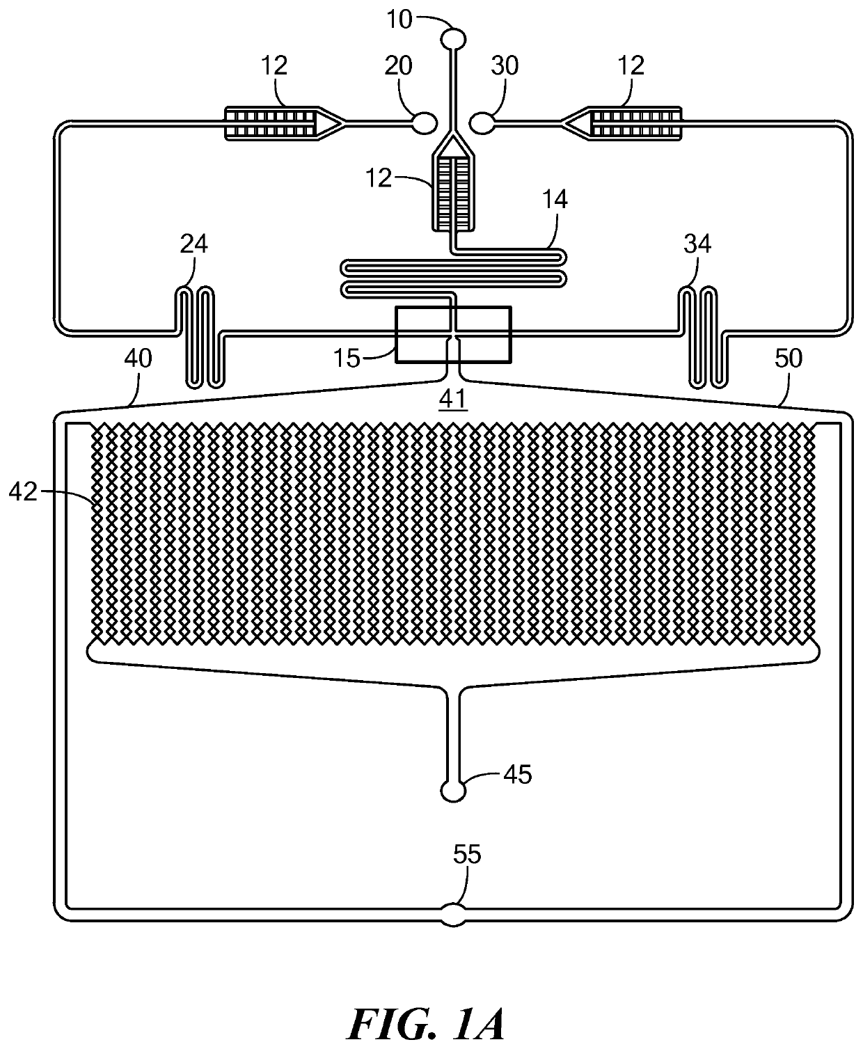 Microfluidic device and method for analysis of tumor cell microenvironments