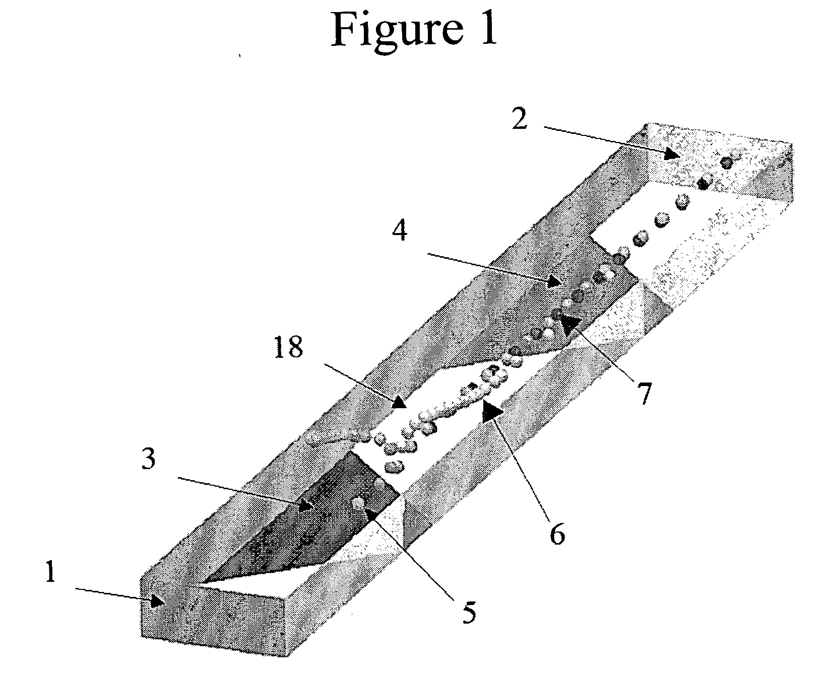 Method and apparatus for separating particles by dielectrophoresis