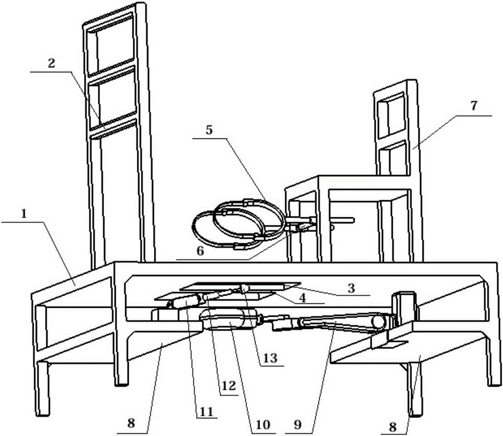 Pressure-blood flow characteristic relation measuring instrument for soles at standing positions and sitting postures