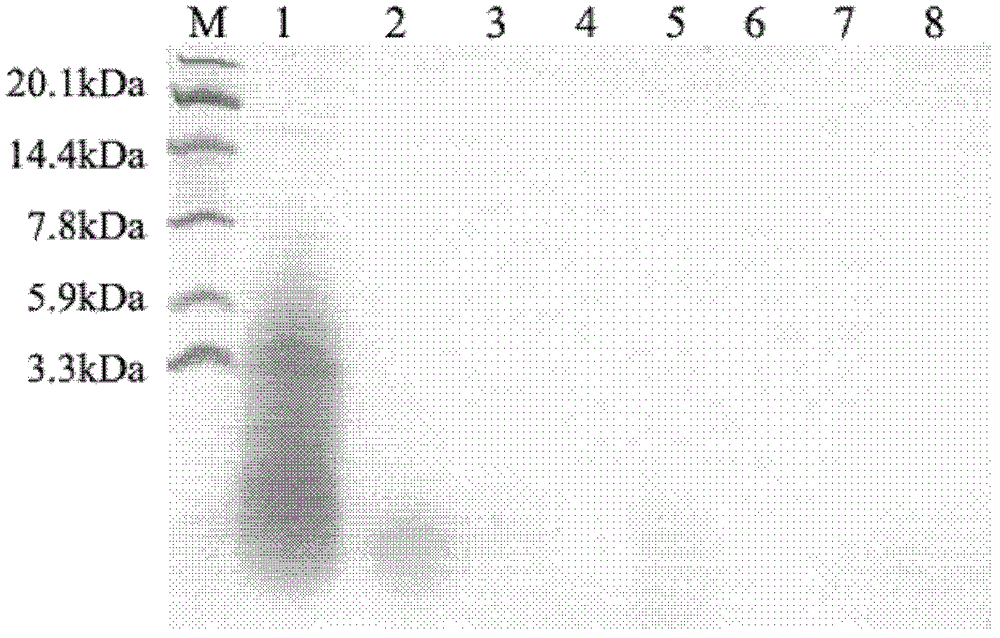 Blood pressure lowering functional polypeptide from pig blood and application thereof