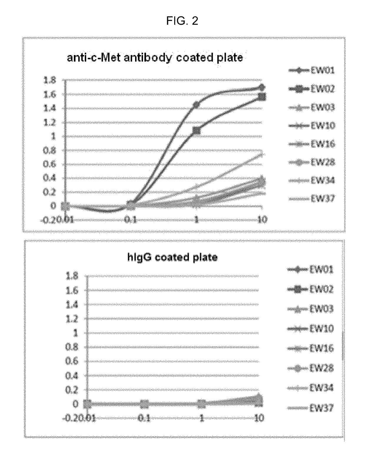 Anti-idiotype antibody against anti-c-MET antibody