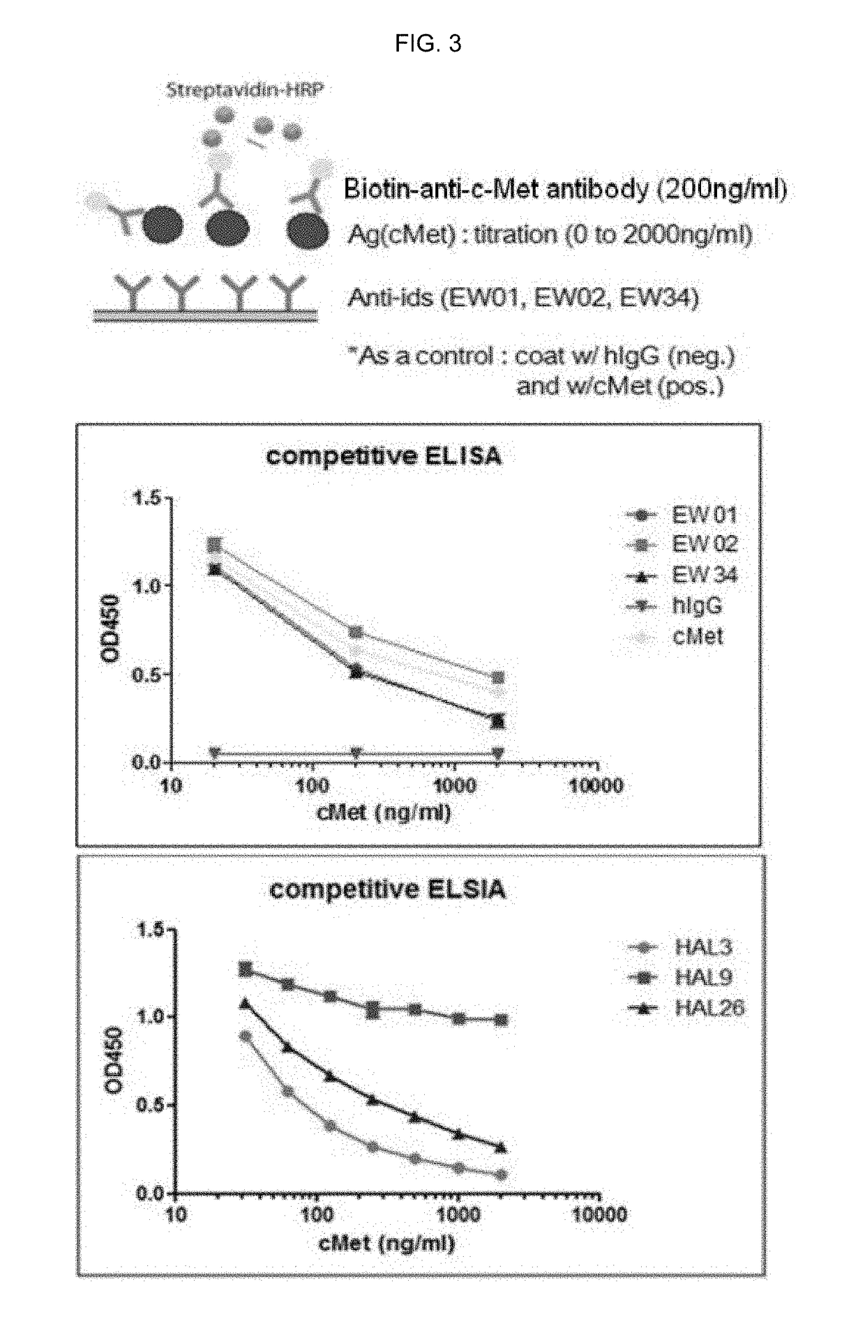 Anti-idiotype antibody against anti-c-MET antibody