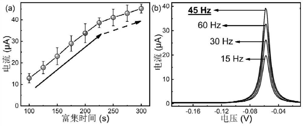 Self-supporting boron-doped diamond electrochemical sensor and preparation method and application thereof