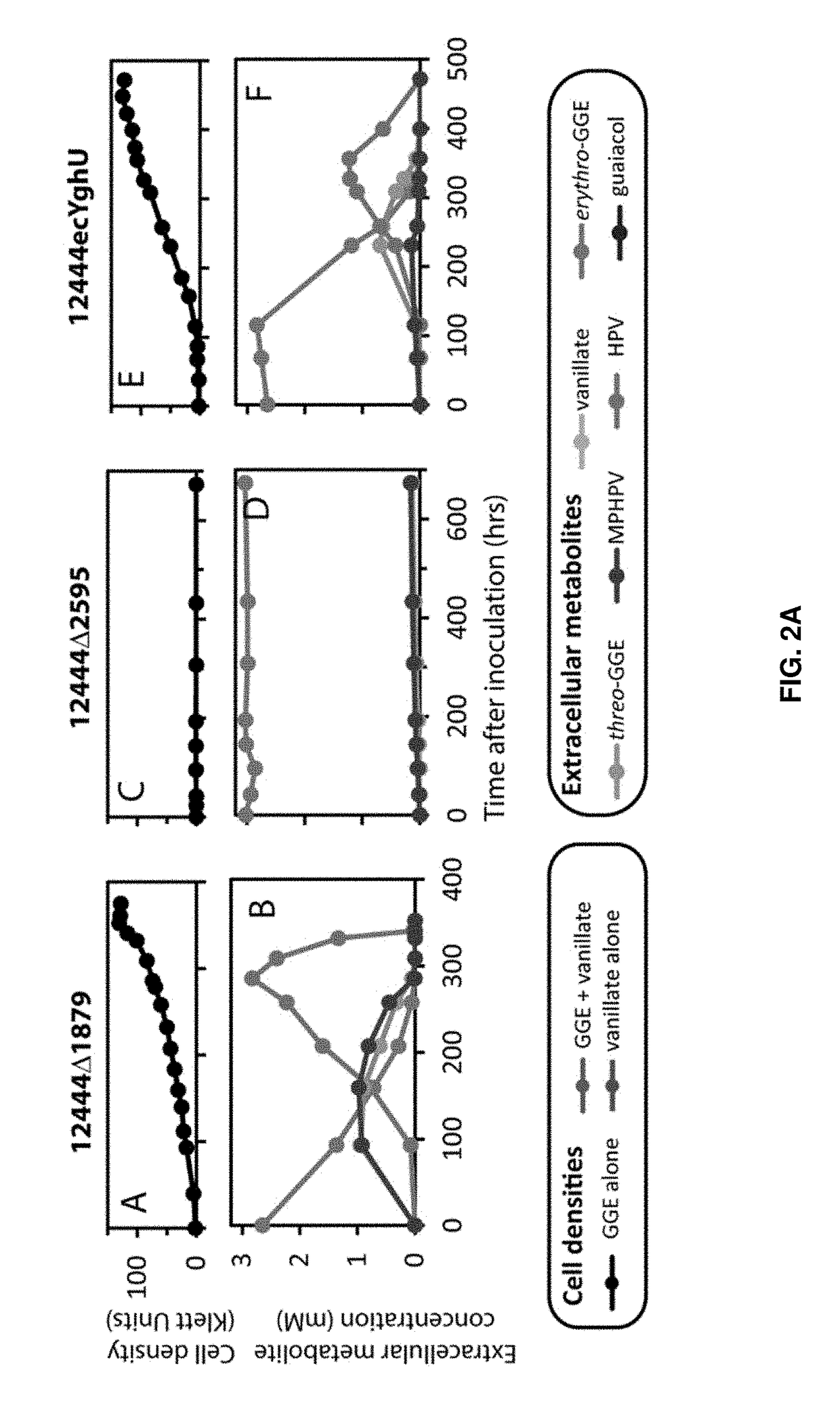 Enzymes and methods for processing lignin and other aromatic compounds