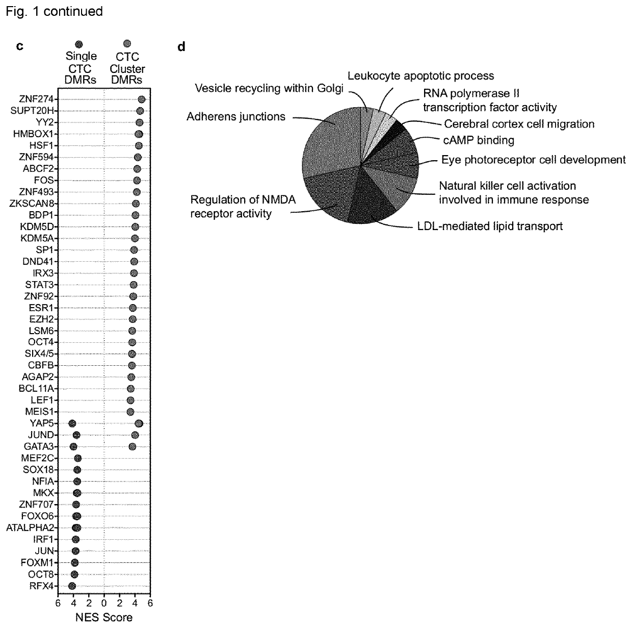 Na+/k+ atpase inhibitors for use in the prevention or treatment of metastasis