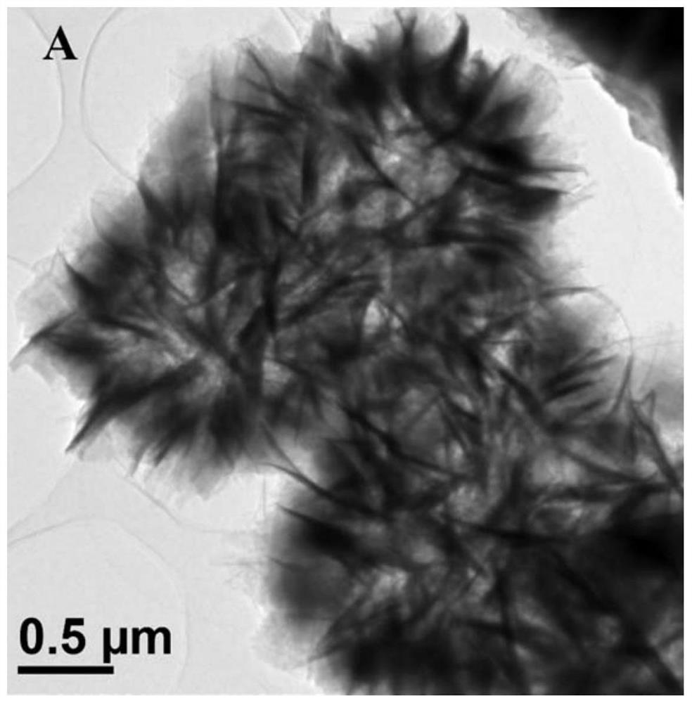 Preparation method and application of Mo-doped HNb3O8 nanosheet