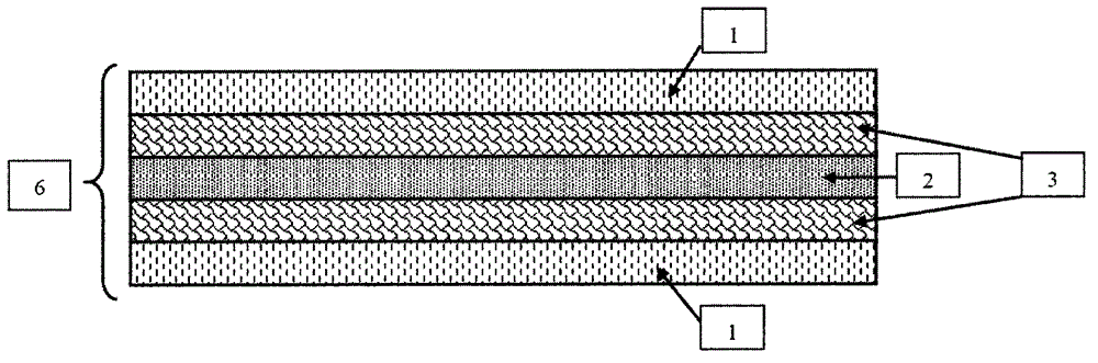 Electrode coated with conductive carbon layer on surface and preparation method of electrode