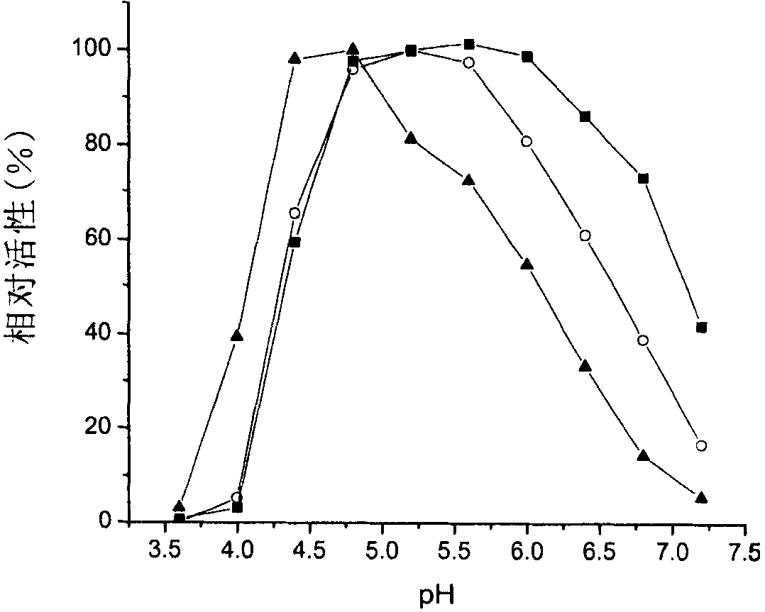 Multifunctional cellulase and application thereof