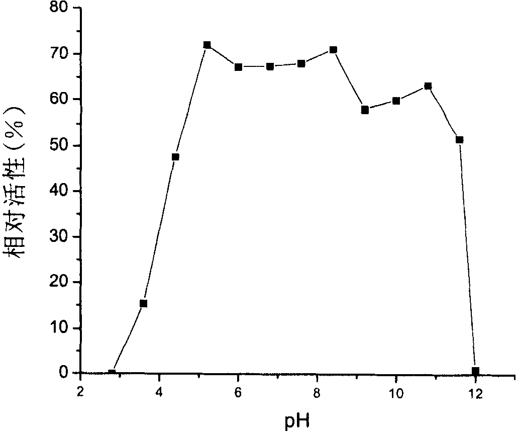 Multifunctional cellulase and application thereof