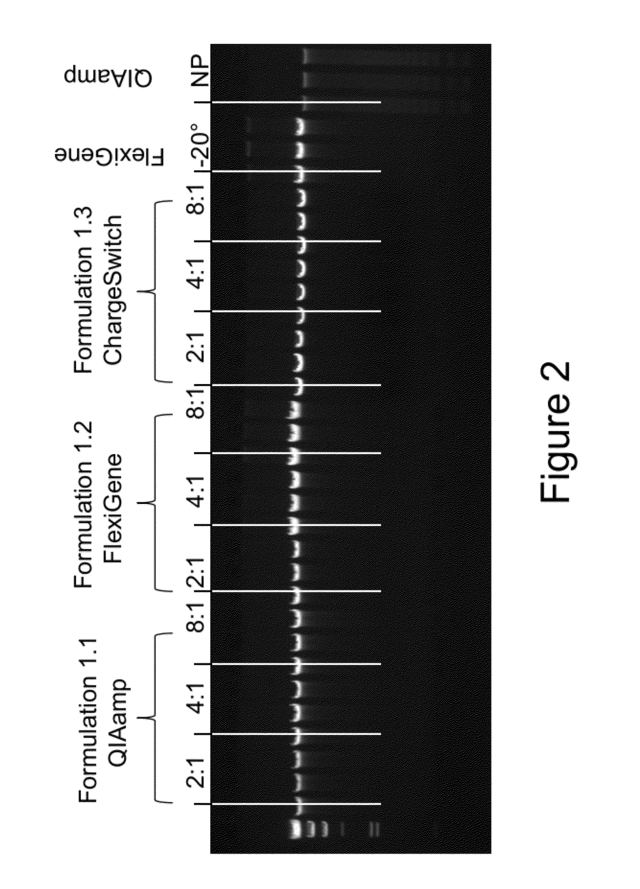 Compositions for stabilizing dna, RNA and proteins in blood and other biological samples during shipping and storage at ambient temperatures