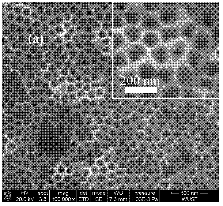 Titanium dioxide nanometer composite structure film and preparation method thereof