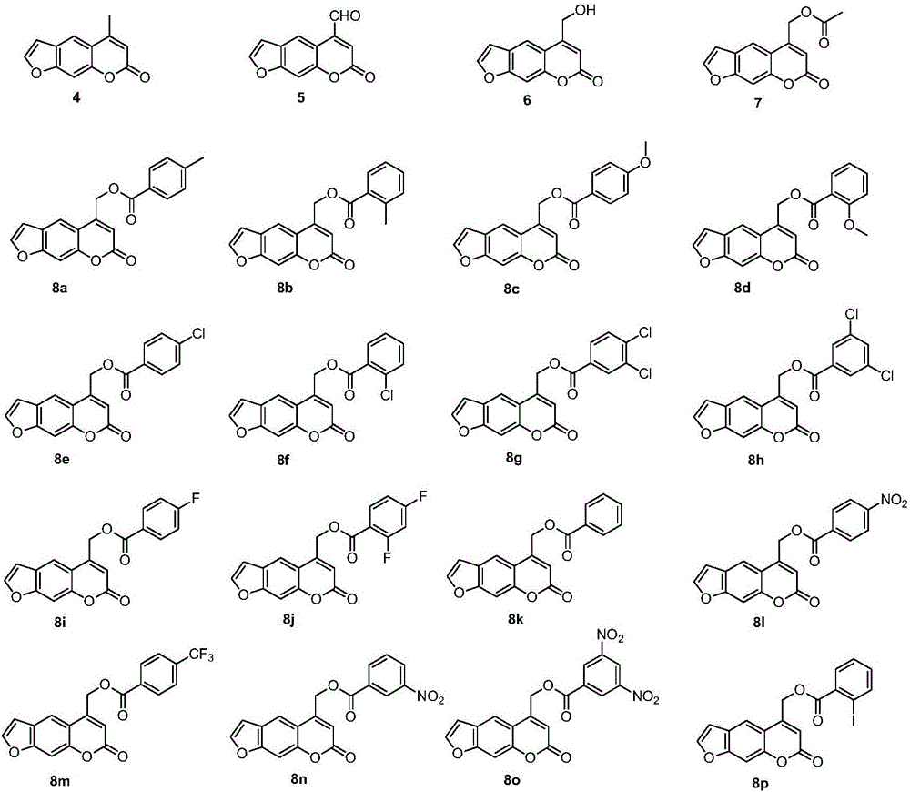 Psoralen ester derivatives and applications thereof