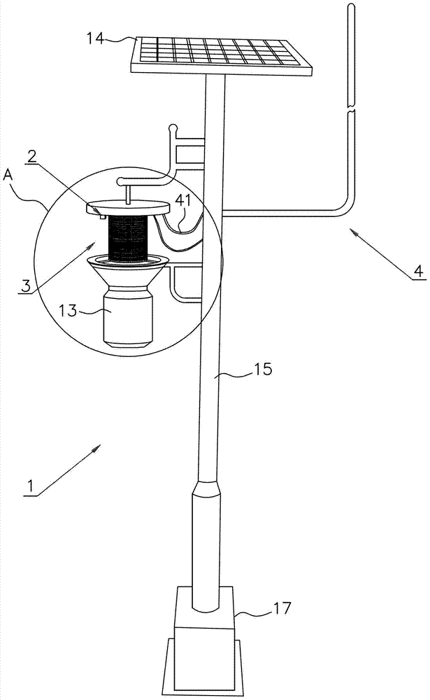 Insect monitoring device