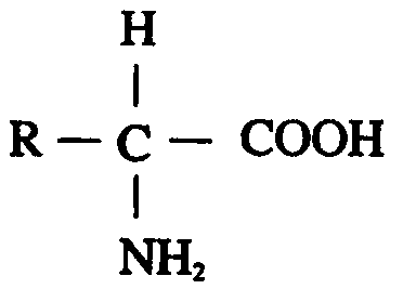 Mutant of human hepatocyte growth factor (hHGF) and application of mutant