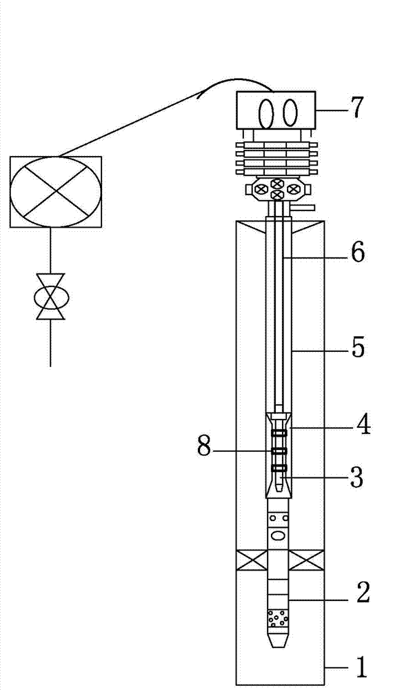 Plug-in coiled tubing induced-spraying device