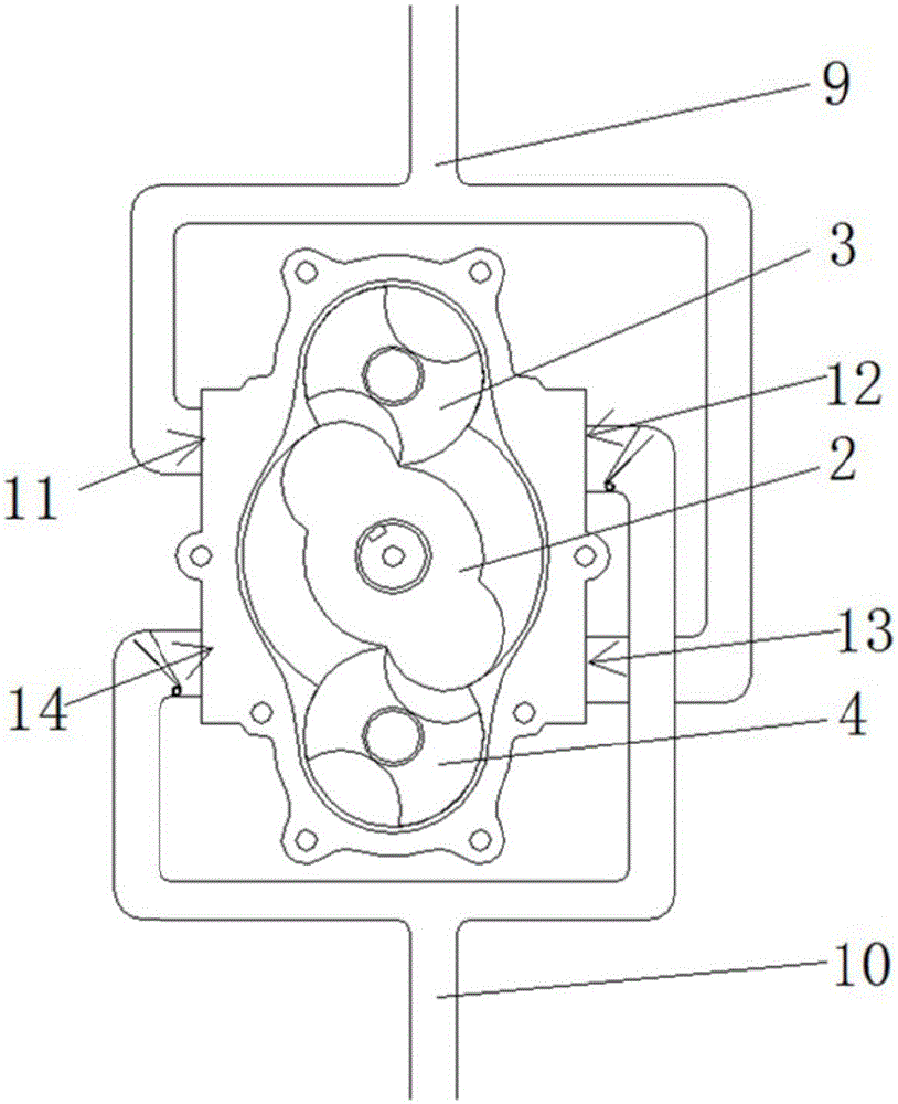 Three-rotor displacement pump