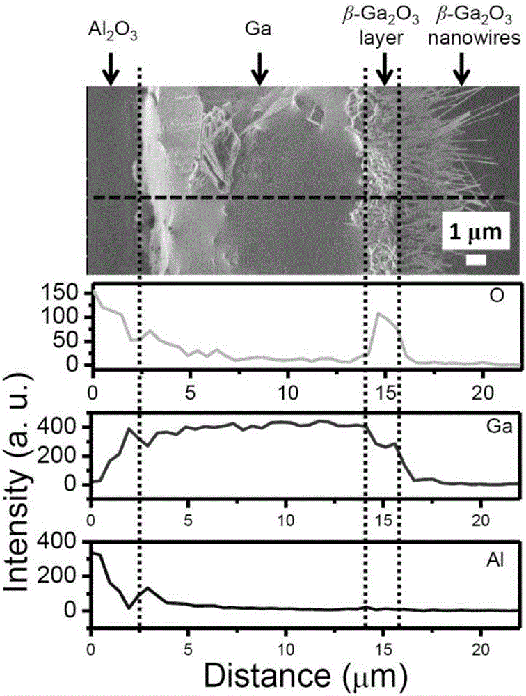 Beta-Gallium oxide nanowire array film and preparation method thereof