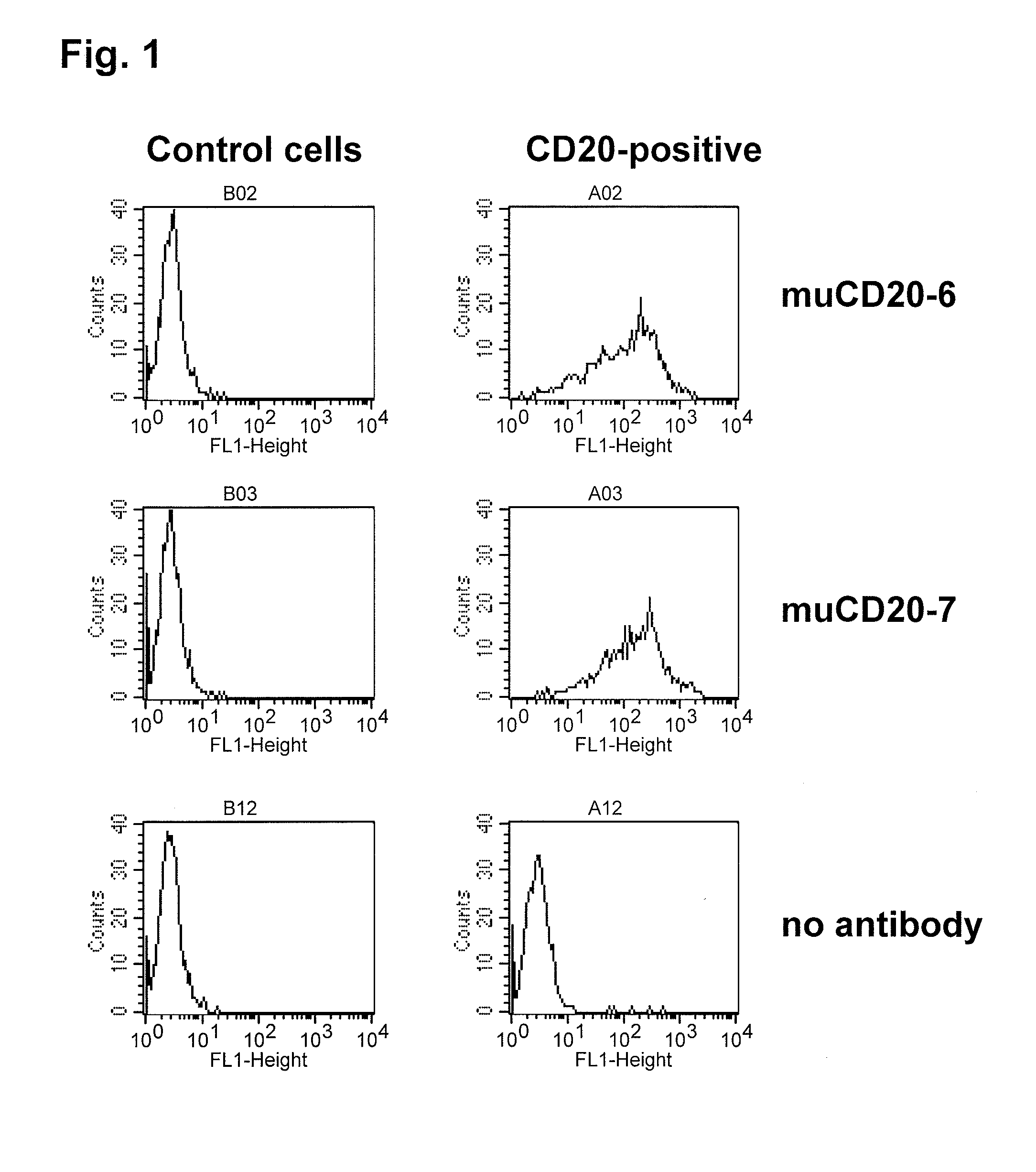 Cd20 antibodies and uses thereof