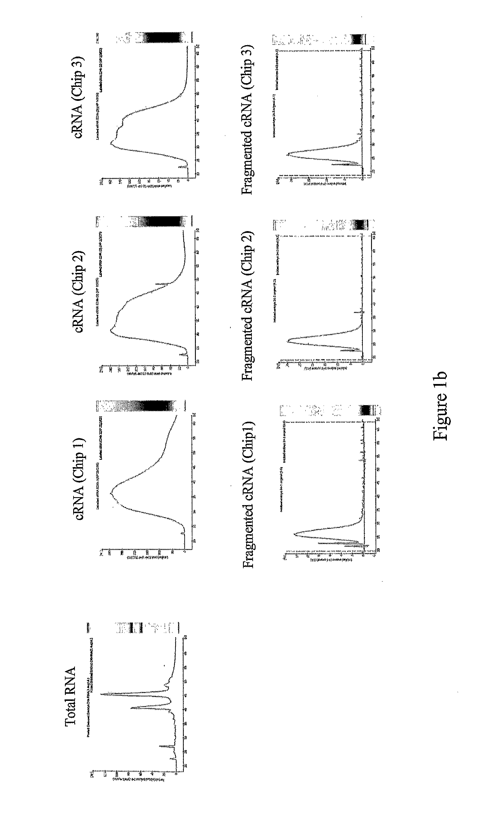 Plant Promoter Operable in Endosperm and Uses Thereof