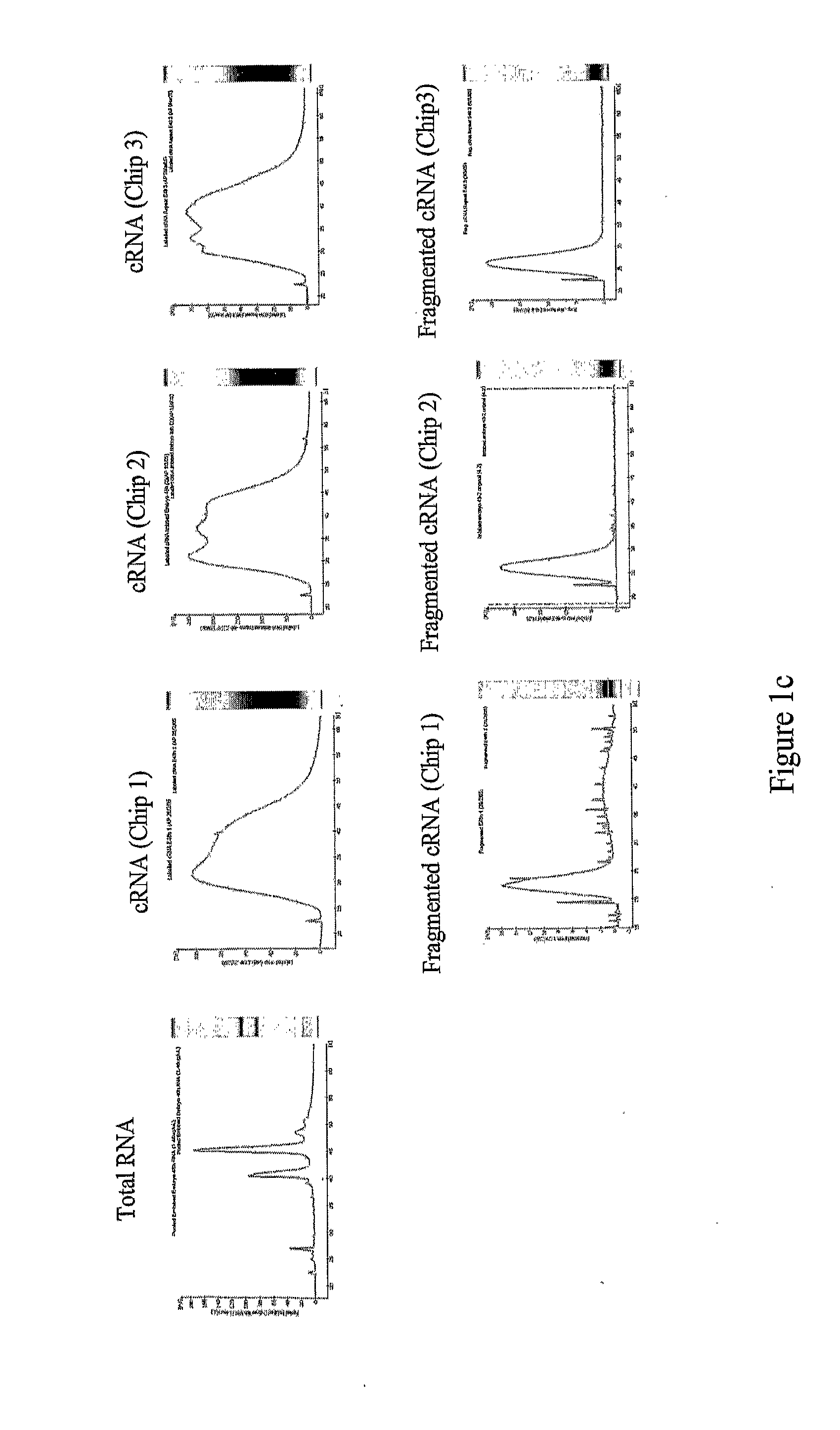 Plant Promoter Operable in Endosperm and Uses Thereof