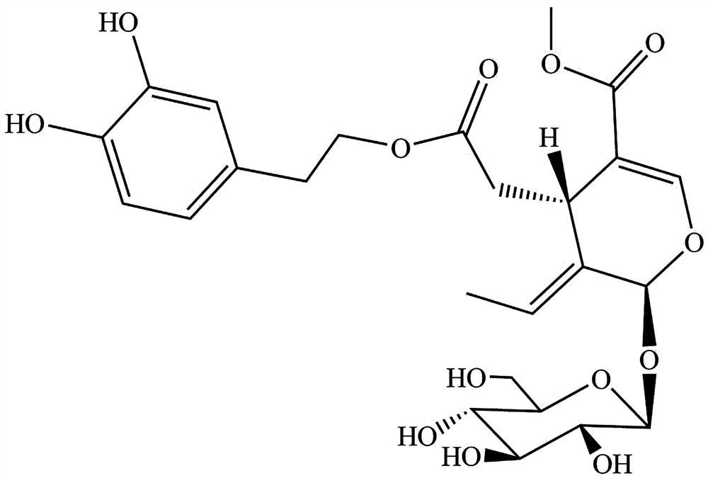 Preparation of a secoiridoid glycoside compound and its application in improving the viability of bone marrow mesenchymal stem cells