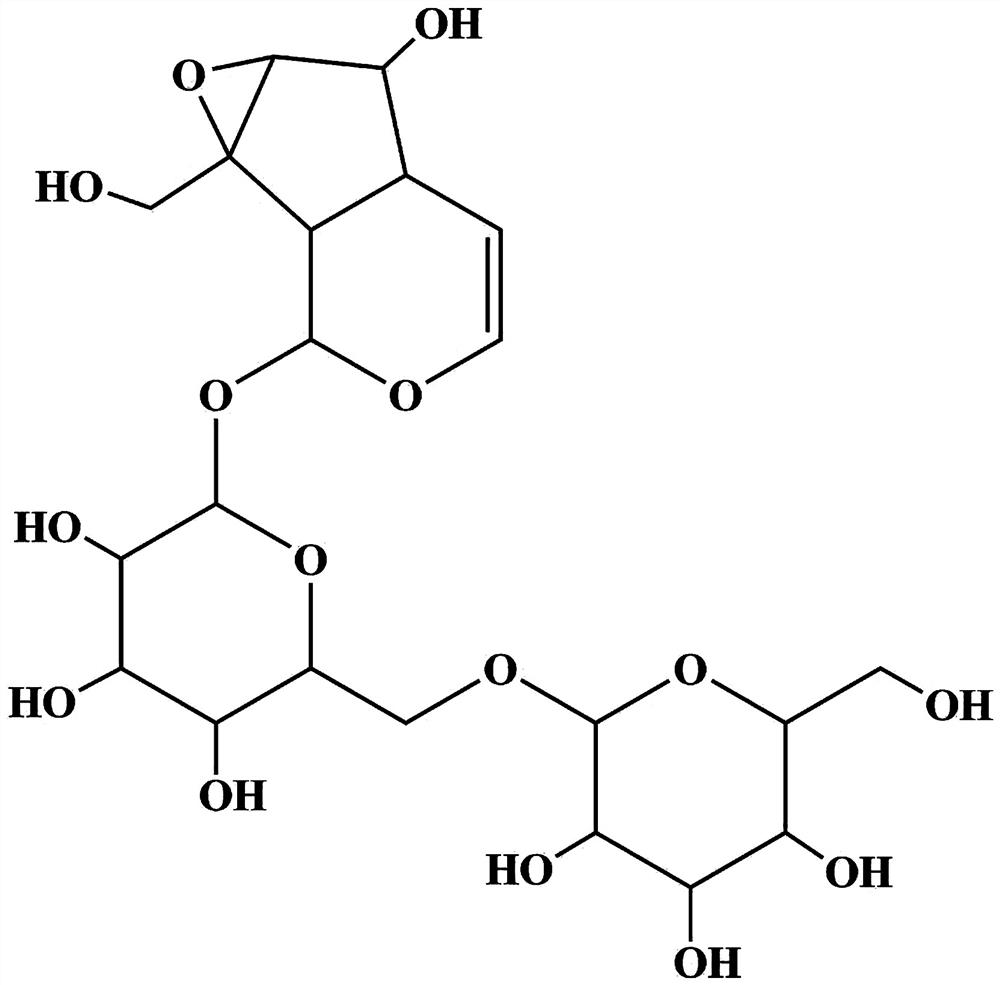 Preparation of a secoiridoid glycoside compound and its application in improving the viability of bone marrow mesenchymal stem cells