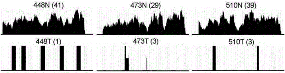 Application of tumor suppressor gene atoh8 and its encoded protein