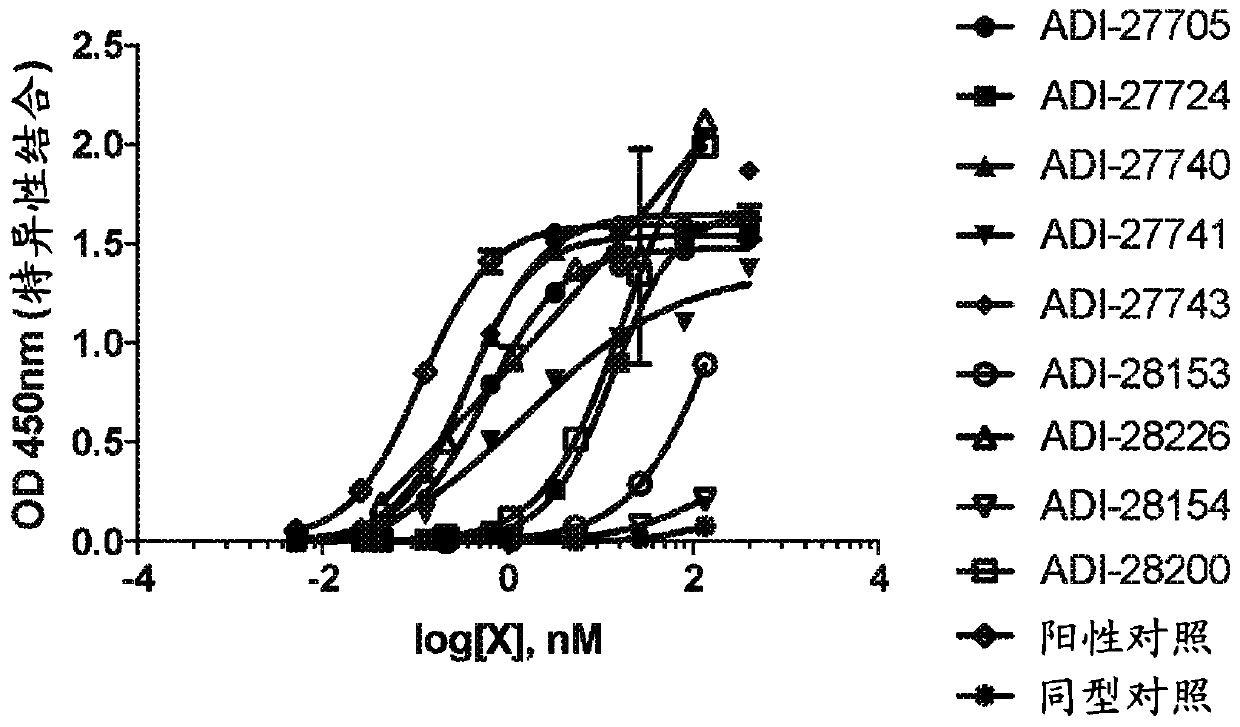 Proteins binding nkg2d, cd16 and flt3