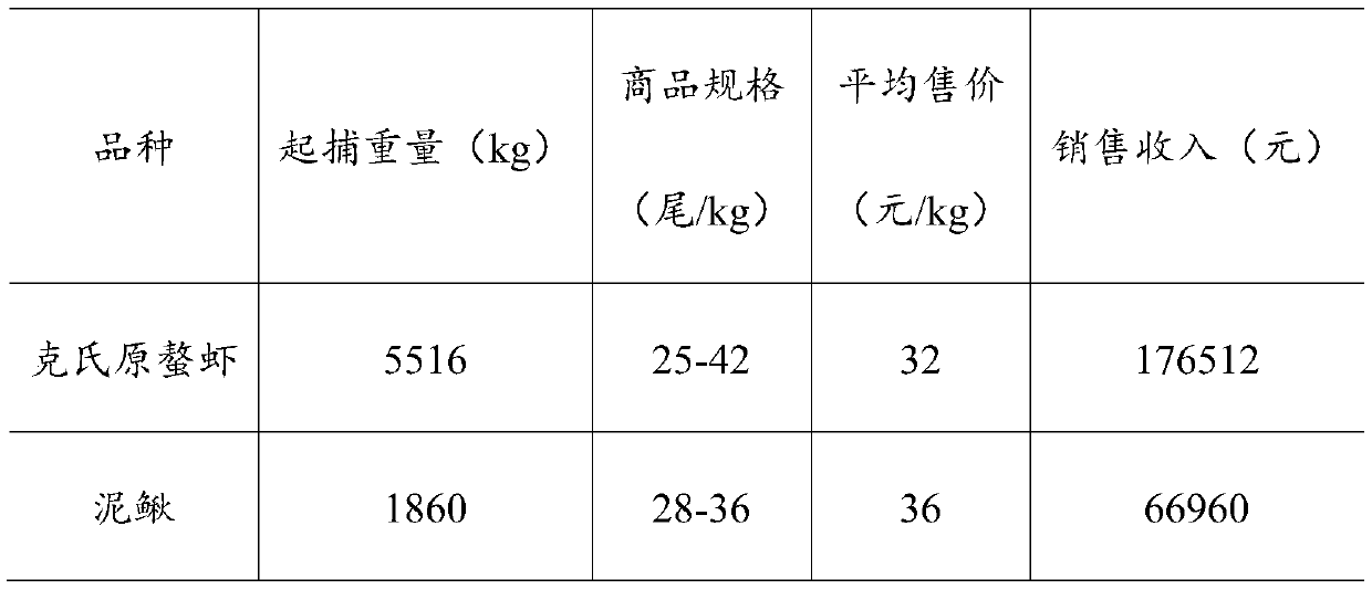 A rice-shrimp-loach coupling breeding method and rice field comprehensive breeding model