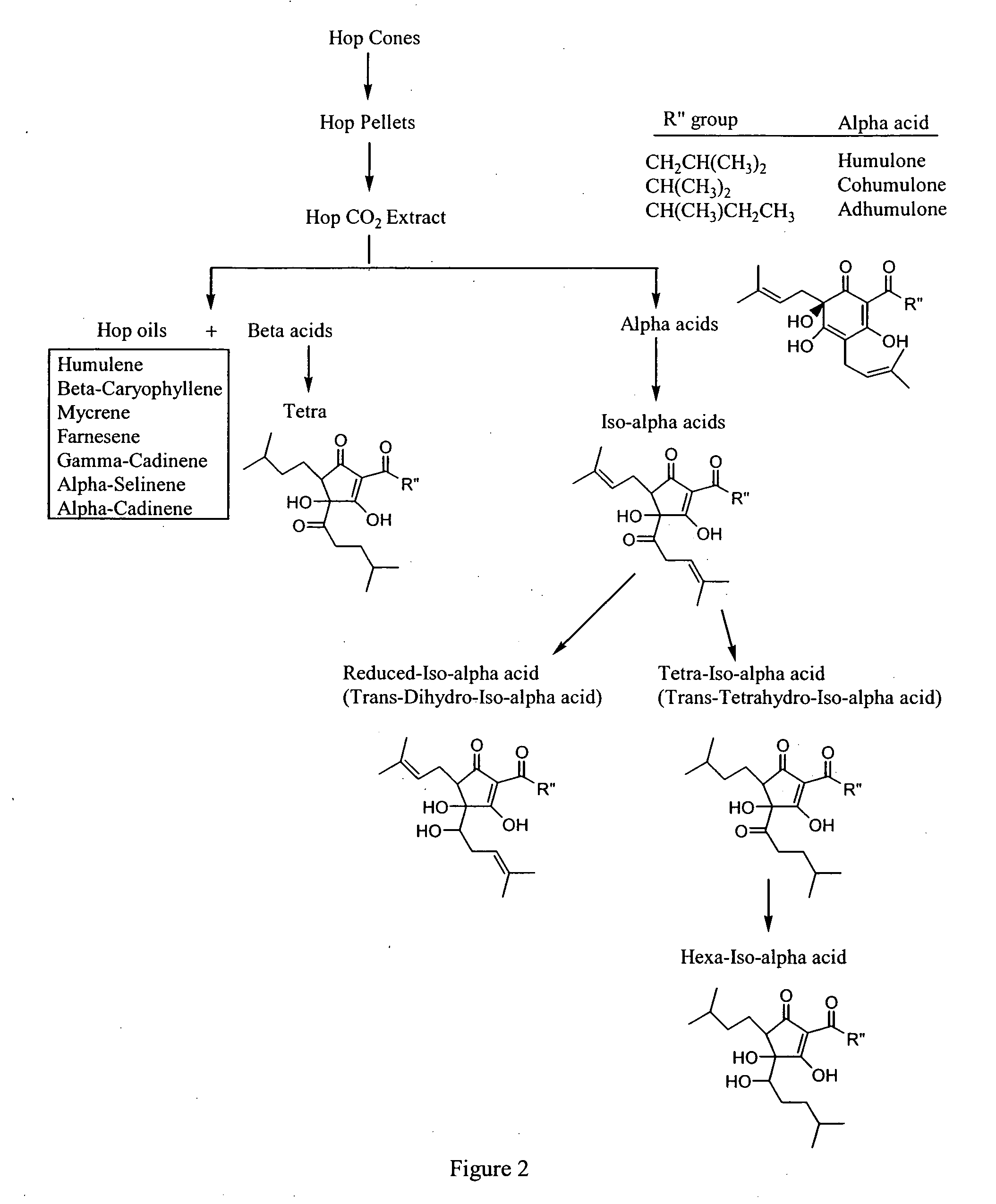 Anti-inflammatory pharmaceutical compositions for reducing inflammation and the treatment of prevention of gastric toxicity