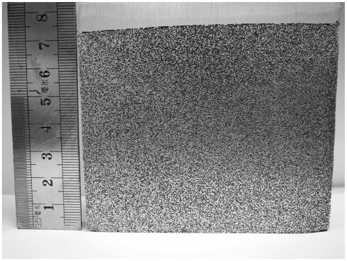 Foam metal preparation method and foam metal preparation device