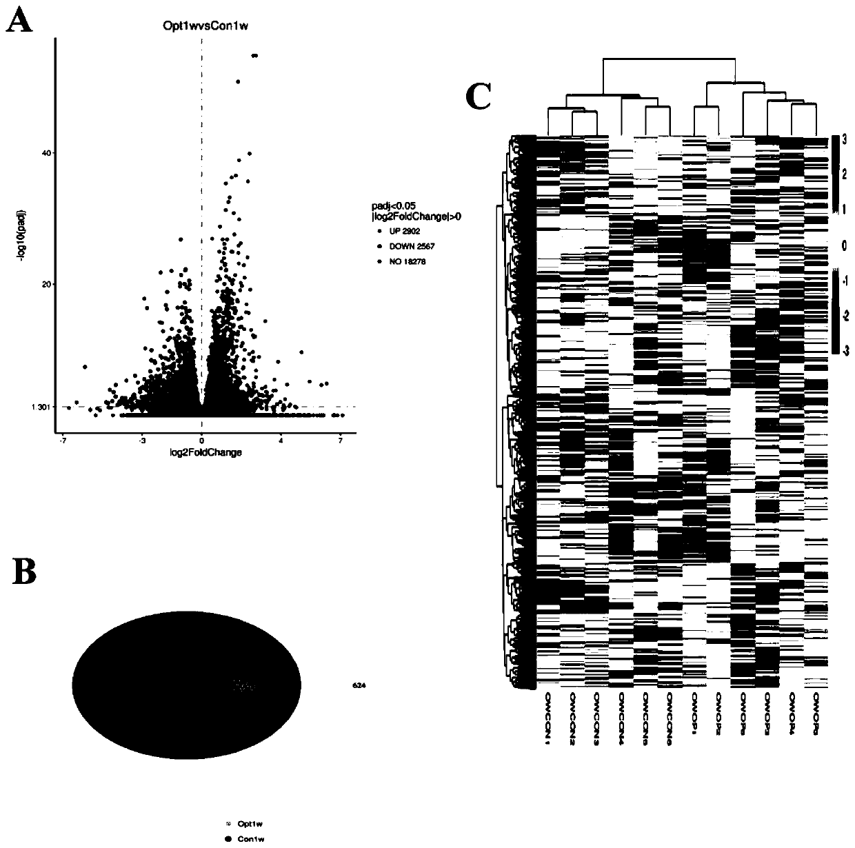 Method for promoting proliferation of right ventricular myocardial cells in vivo