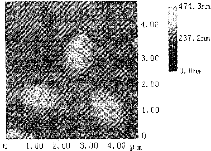 Biological deferrization demanganization functional bacterium