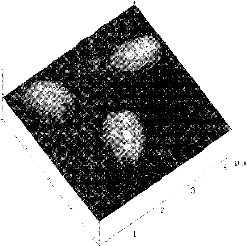 Biological deferrization demanganization functional bacterium