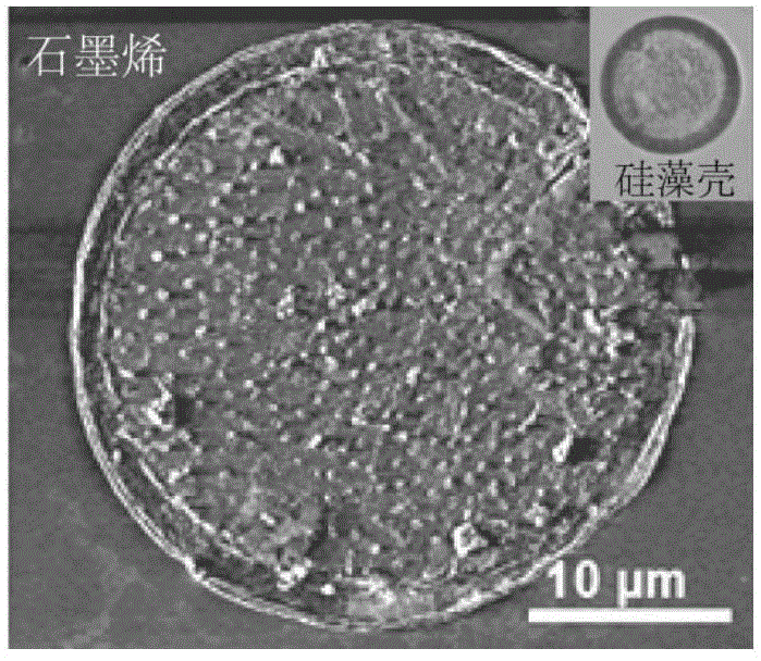 Method for macroscopically preparing high-quality graphene by using bio-mineralized material