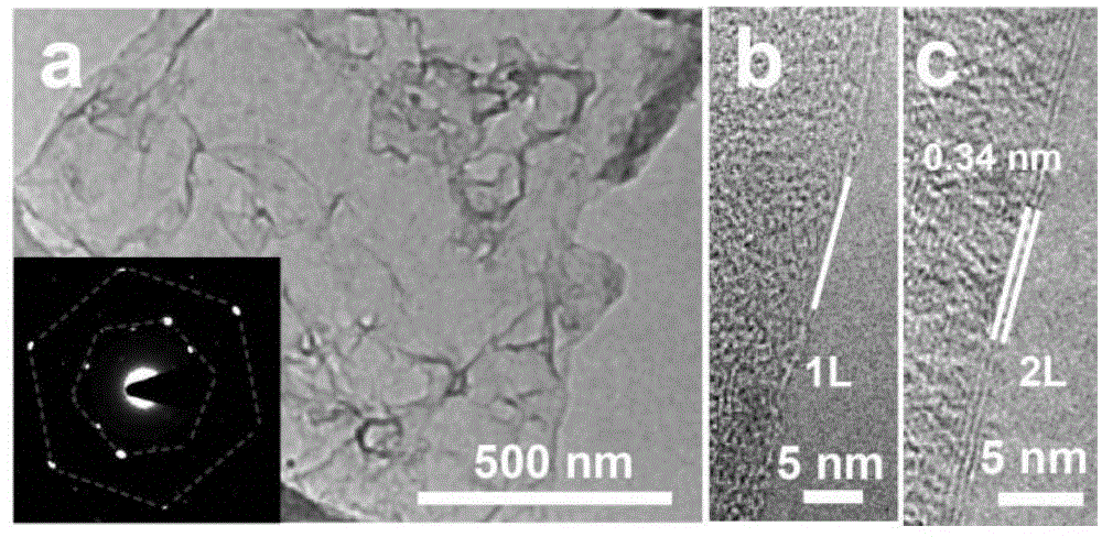Method for macroscopically preparing high-quality graphene by using bio-mineralized material