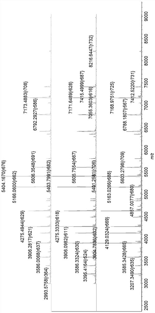 Mass Spectrometry Substrate Target Holders and Instruments for Biomarker Detection