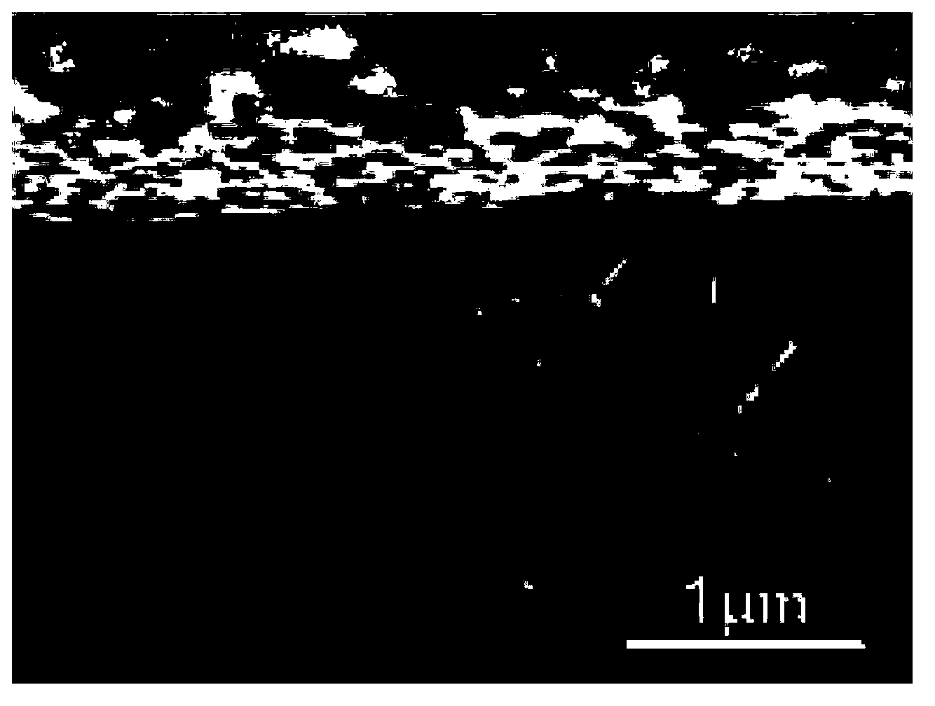 Self-cleaning glass and preparation method thereof