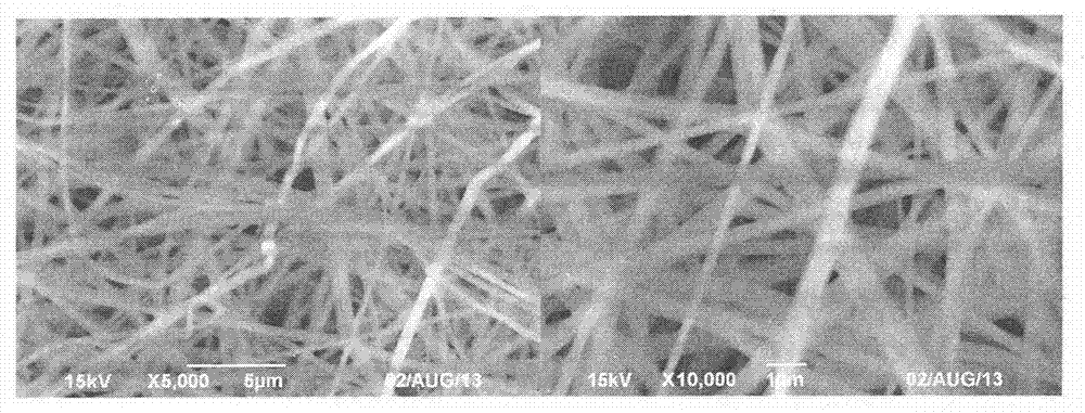 Preparation method of constant-hydrophilic graft-modified chlorinated polymer micro/nano fiber film