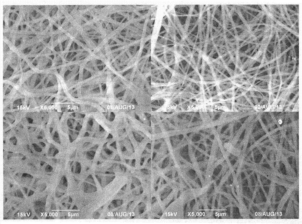 Preparation method of constant-hydrophilic graft-modified chlorinated polymer micro/nano fiber film