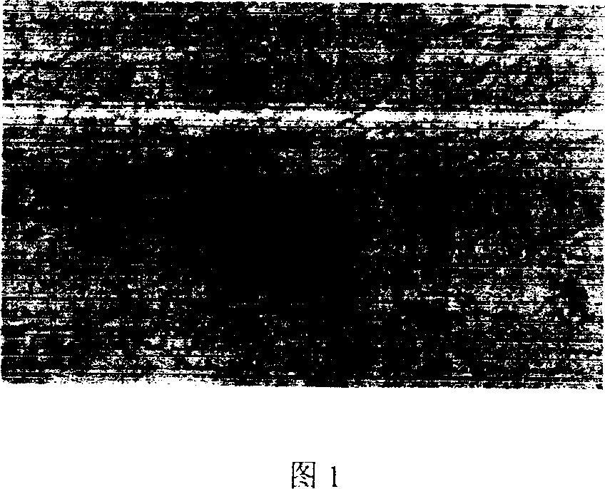 Method for planting esoderma/endothelial cell on inner surface of artificial blood vessel