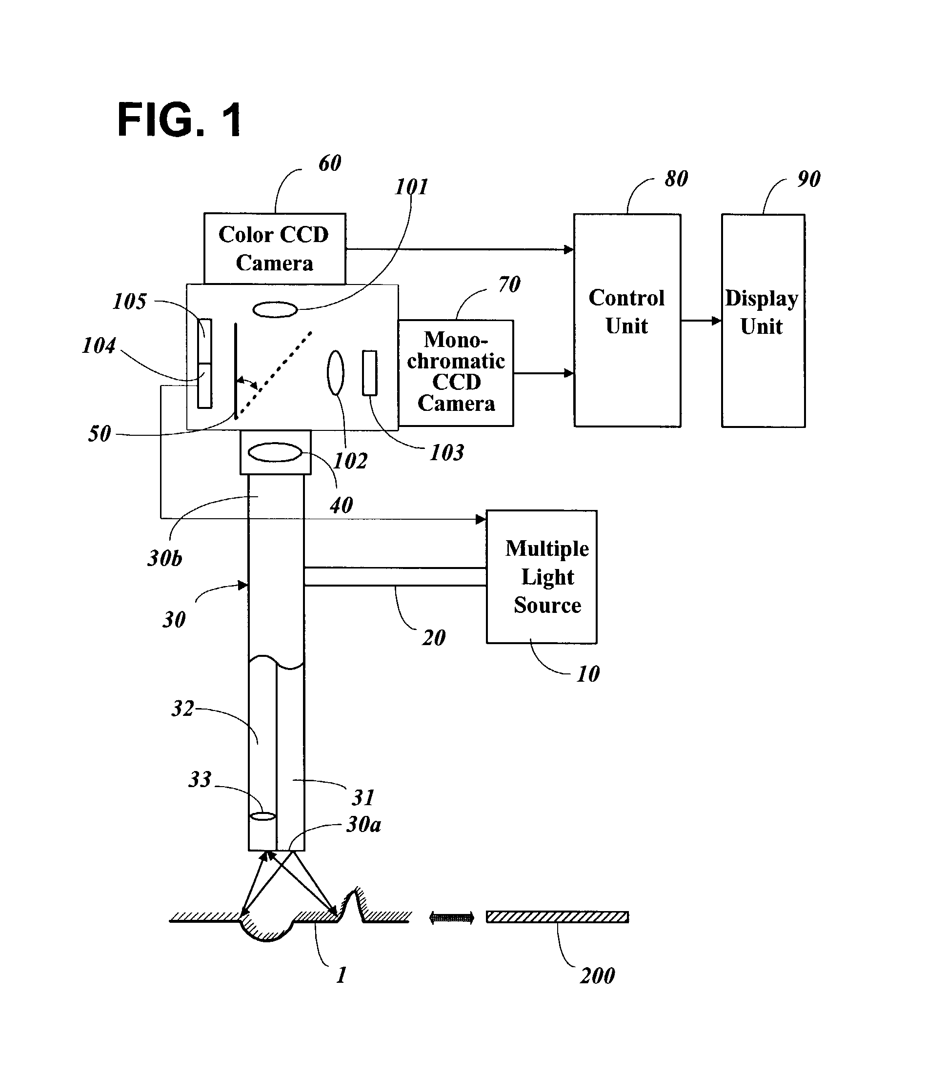 Fluorescence endoscope apparatus and method for imaging tissue within a body using the same