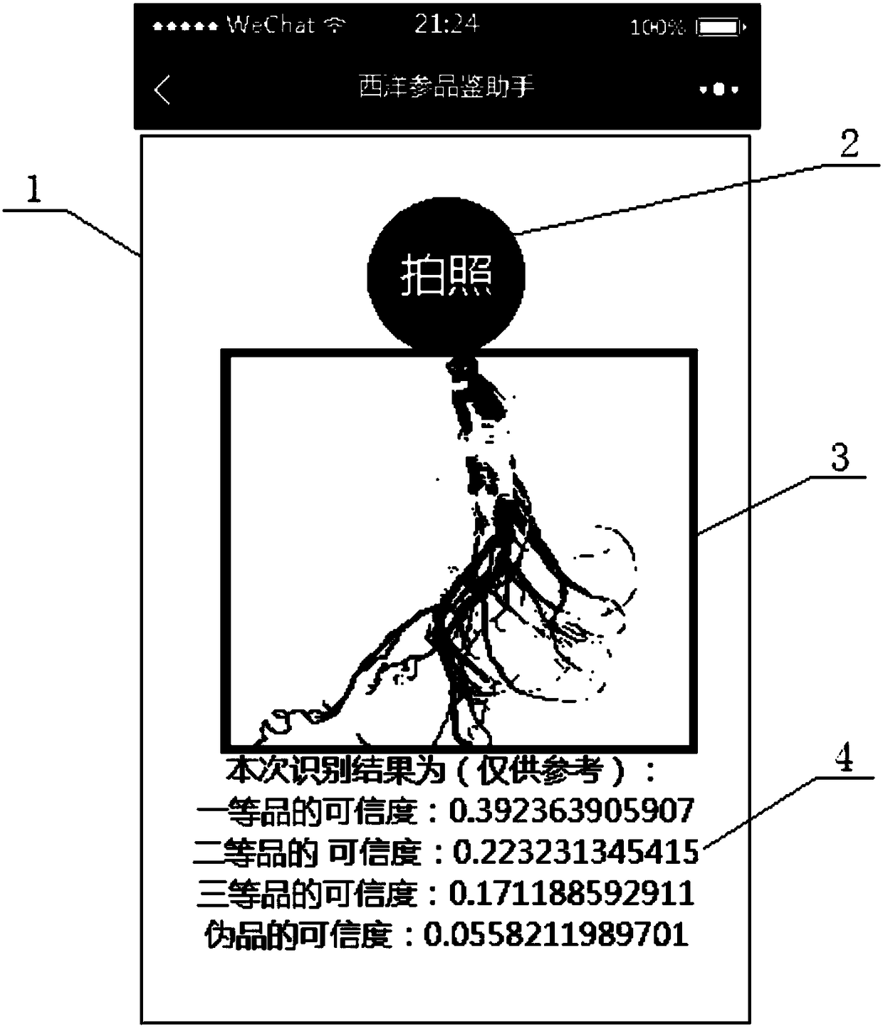 American ginseng quality identification assistant based on Wechat mini program and deep learning technology