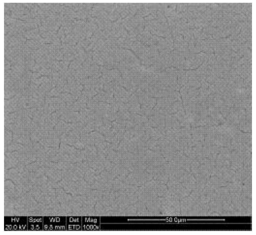 Insulating coating liquid for improving cracks of surface coating of oriented silicon steel, preparation method for insulating coating liquid, and oriented silicon steel plate