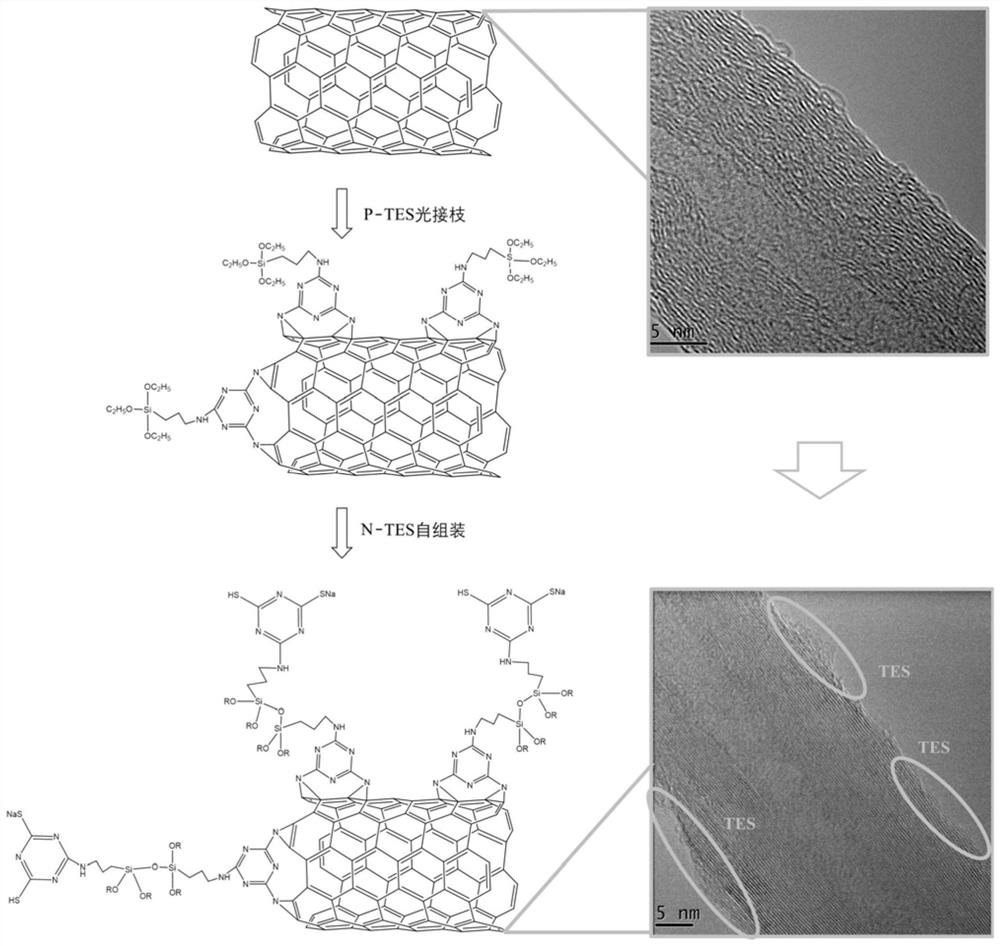 A kind of nano-silver modified cnts composite material and its preparation method and application