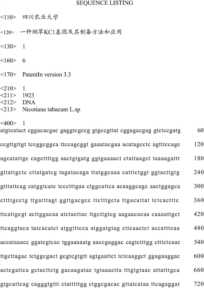 Tobacco KC1 gene, and preparation method and application thereof