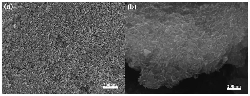 Preparation method and application of Mg/Al layered double hydroxide and salt activated zeolite composite adsorption material