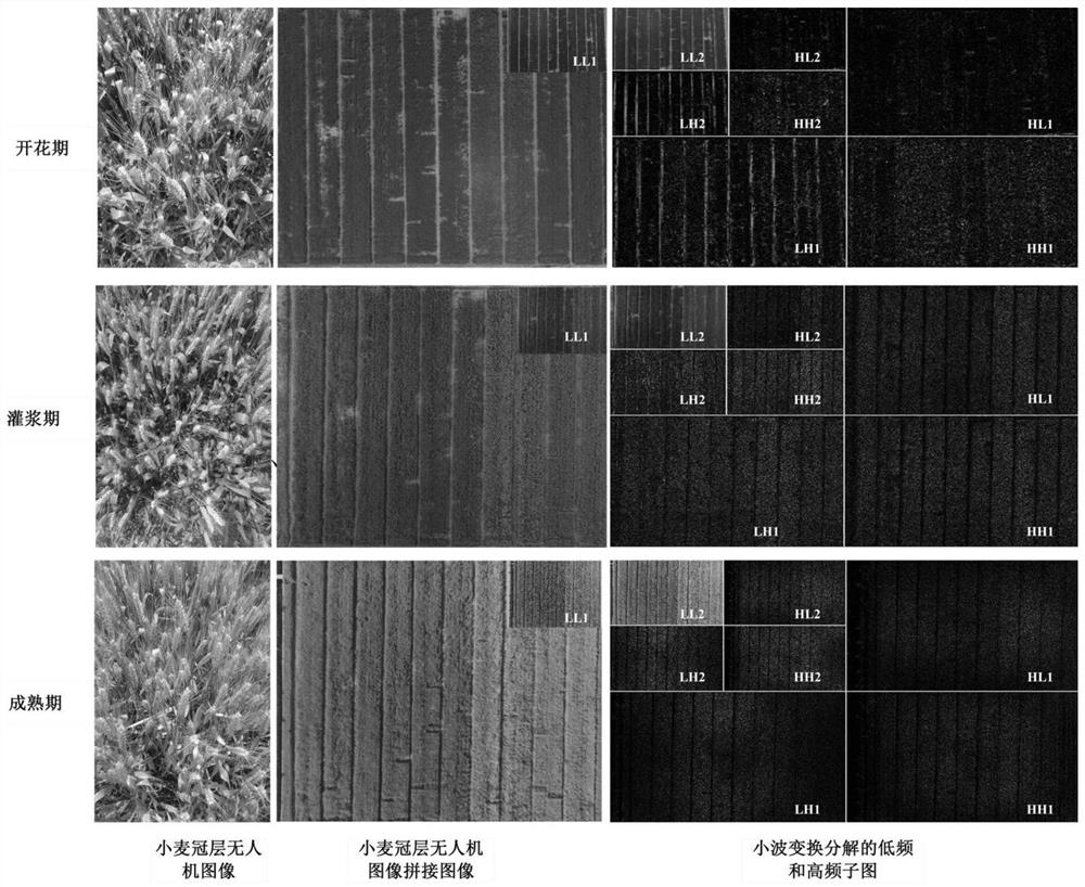 Wheat leaf layer nitrogen content estimation method based on RGB image fusion features