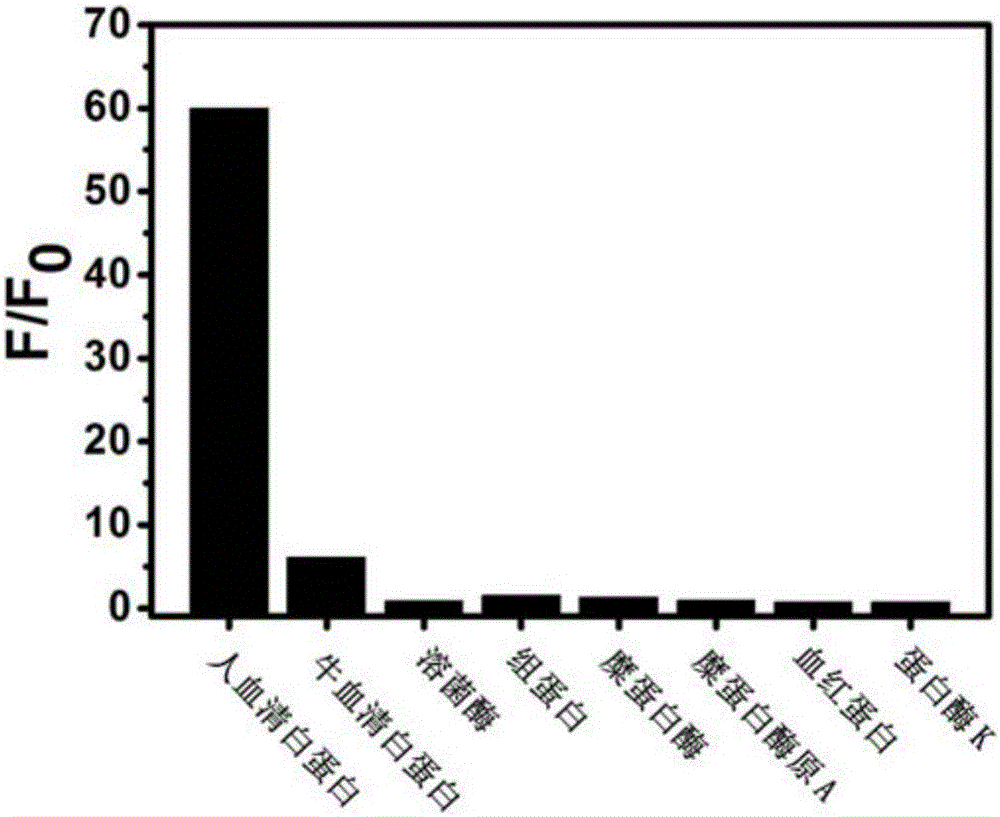 Micromolecule fluorescent probe and application thereof